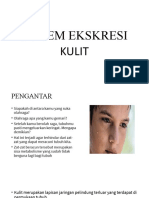 Sistem Ekskresi Kulit