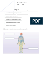 Sistema nervioso ejercicio ciencias naturales