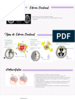 Hidrocefalia, edema cerebral y hernia craneal