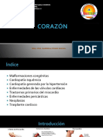 Patologia Corazon