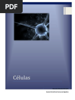 Células