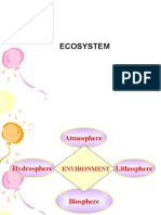 02 Ecosystem