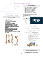 Estructura y componentes de la columna vertebral