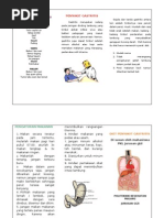 Download Leaflet Lambung by Ismail Faqihuddin SN63722451 doc pdf