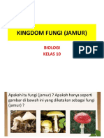 Kingdom Fungi (Jamur) : Biologi Kelas 10