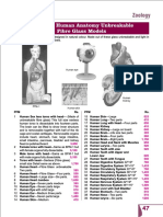 Cataloge Biocraft Human Anatomy FBG Model