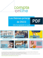 Les Thèmes Principaux de DSCG: UE4 Comptabilité Et Audit