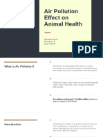 Air Pollution Effect On Animal Health: Saksham Arora Bcom (H) 6 E 3522118819