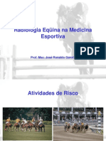 Radiologia Eqüina Na Medicina Esportiva: Prof. Msc. José Ronaldo Garotti