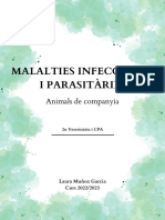 Malalties Infeccioses I Parasitàries: Animals de Companyia