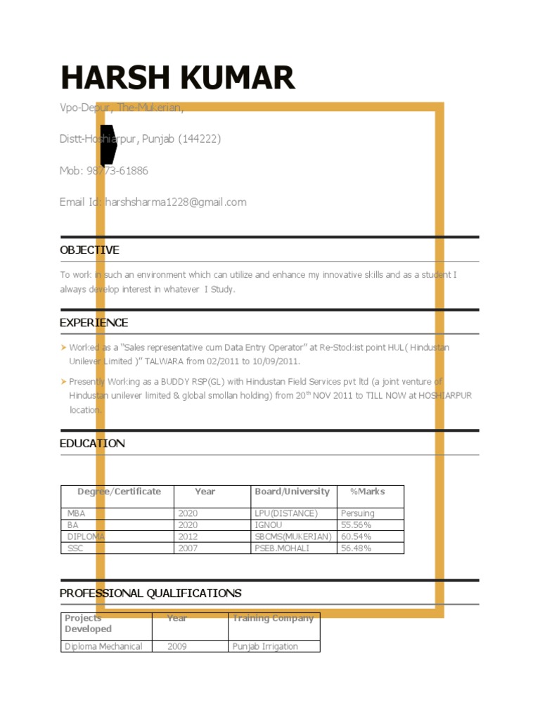 Harsh Kumar - Professional Profile & Resume | PDF