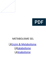 Metabolisme OK