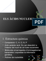 Els Àcids Nucleics2