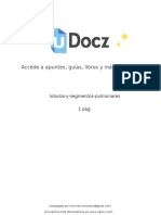 Accede A Apuntes, Guías, Libros y Más de Tu Carrera: Lobulos-Y-Segmentos-Pulmonares 1 Pag