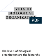 Levels of Biological Organization