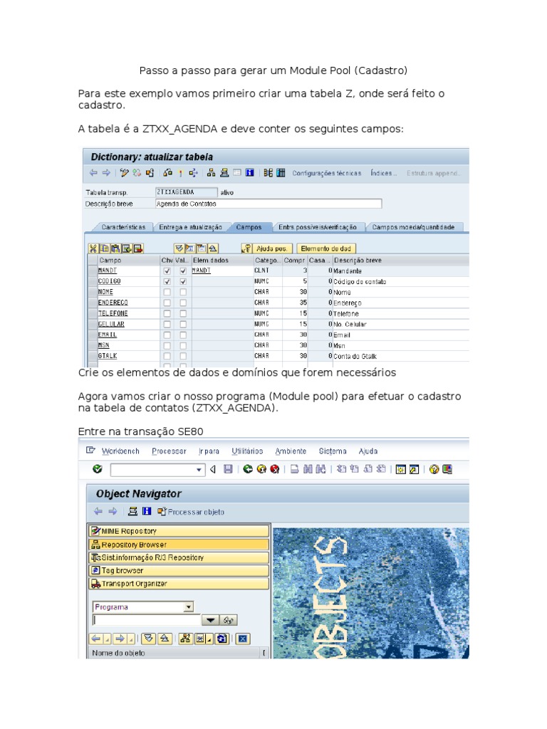 Criando um Module Pool em ABAP | PDF | Dados | Janela (informática)