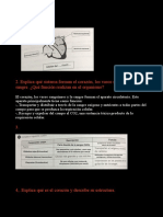 Repaso Circulación