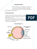 Manual de Protección Ocular