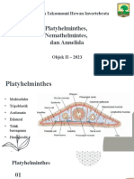 Platyhelminthes, Nemathelmintes, Dan Annelida: Praktikum Taksomomi Hewan Invertebrata