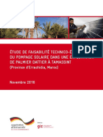 Étude de Faisabilité Technico-Économique Du Pompage Solaire Dans Une Exploitation de Palmier Dattier À Tamassint - Maroc