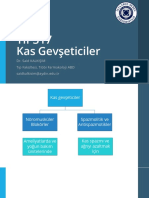 1-Kas Gevşeticiler