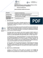 C. Analista de Procesos VF2 PDF