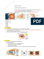 Conjunctiva Palpebrae/tarsal Bulbar Conjunctiva Tarsal Tarsal Gland/kel. Meibom