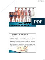 Sistema endócrino: principais glândulas e hormônios