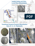 Cordilleran Polymetallic Bodies and Veins