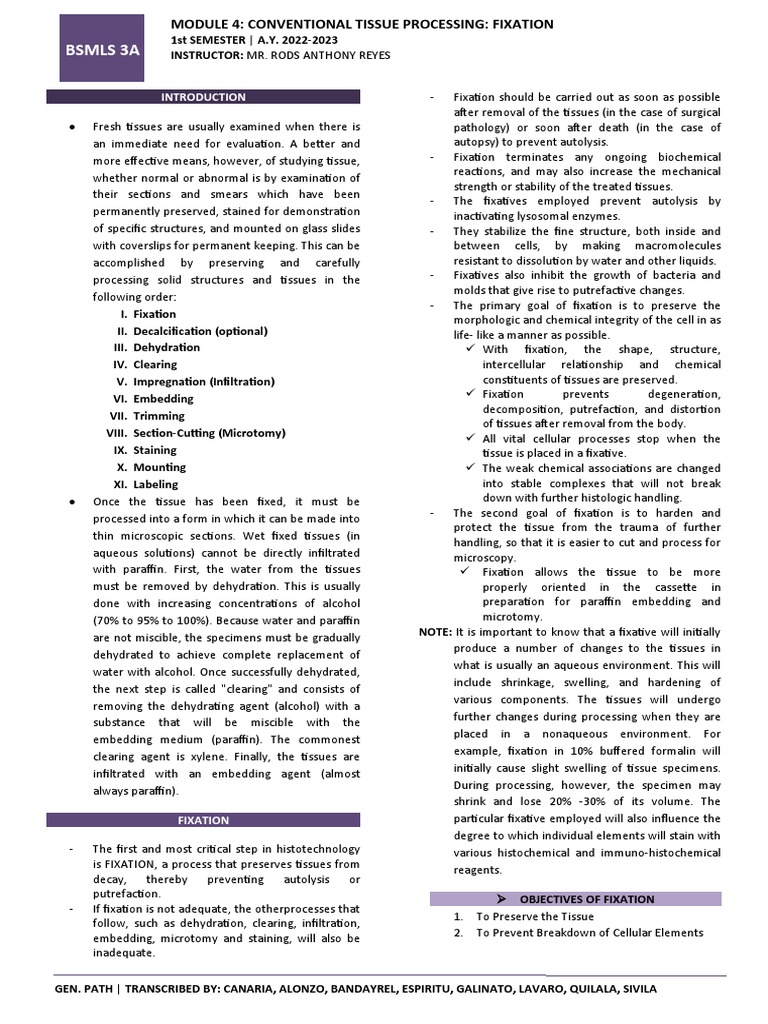 Histopath Trans 4 Fixation Pdf Fixation Histology Histology