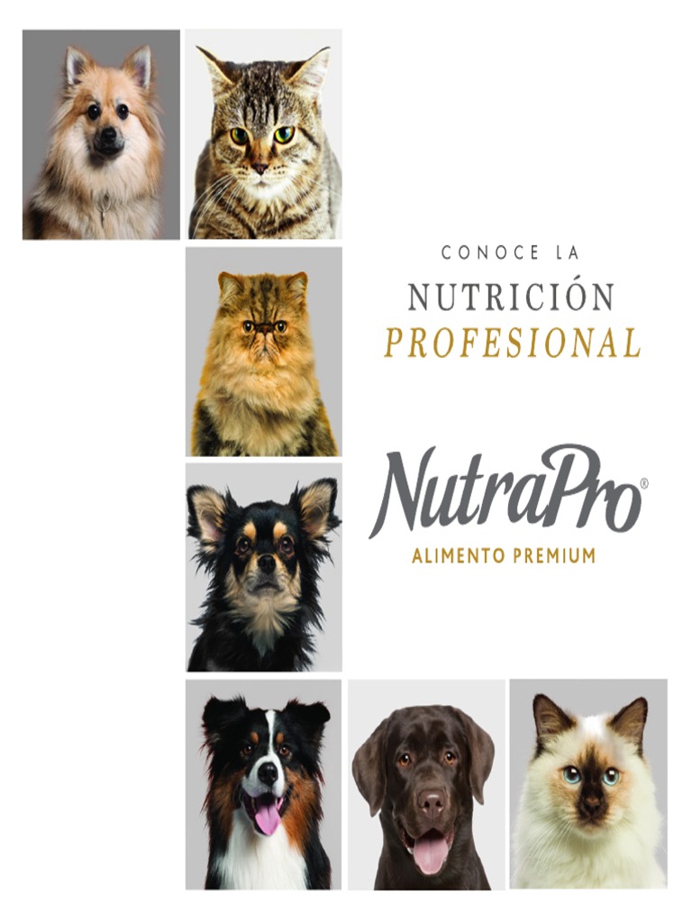 Nutra Pro: Nutrición para Cachorros | PDF