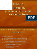 Tema 7: Sistemas de Producción de Energía en El Organismo