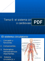 Tema 6: El Sistema Circulatorio o Cardiovascular
