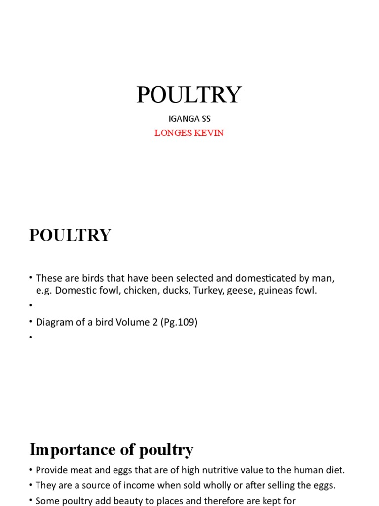 Commercial Poultry Farming A Comprehensive Overview of Poultry Anatomy