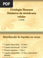 FH[1]. DINÂMICA CAPILAR. LISI