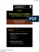 Anatomía Del Cuero Cabelludo: Introducción Estructura Vascularización Inervación