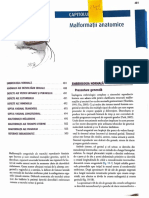 Malformatii Anatomice: Embriologia Normai.A