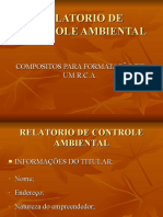 Relatório de Controle Ambiental para Empreendimentos de Mineração (RCA