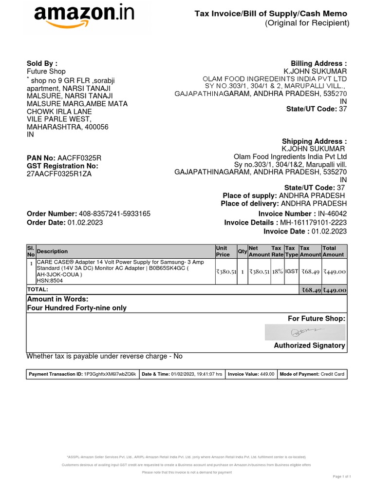 invoice-pdf-invoice-government-finances