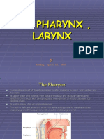 The Anatomy of the Pharynx and Larynx