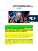 Paisaje de Contactos Moleculares: Cómo El Coronavirus Sars-Cov-2 Se Comunica Con Las Células Humanas