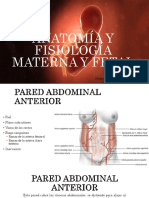 Anatomía Y Fisiología Materna Y Fetal: Pedro Antonio Aguilar Villalobos