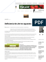 Deficiencia de Zinc en Aguacate - Revista HortiCultivos