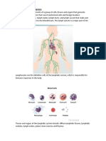 Chapter 14 Lymphatic System