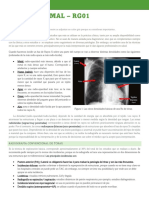 Tórax Normal - Rg01