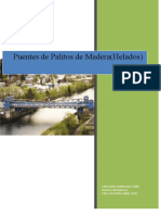 Informe de Puente de Palitos