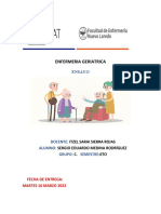 Enfermeria Geriatrica: Ensayo