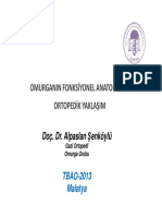 Omurganin Fonksiyonel Anatomisine Ortopedik Yaklaşim Ortopedik Yaklaşim