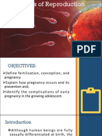 The Process of Reproduction Explained