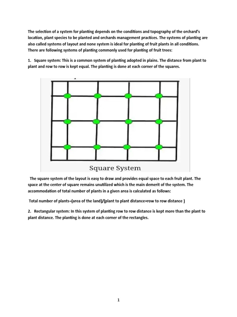 Untitled | PDF | Triangle | Elementary Geometry